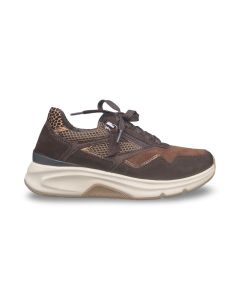 rollingsoft sneaker 5689641 rollingsoft-samt-cacao-nut-bonce