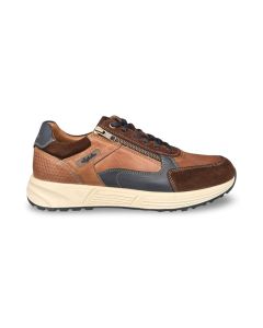 Australian heren sneaker 15168602df6 discover cognac blue